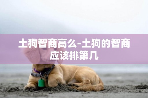 土狗智商高么-土狗的智商應該排第幾