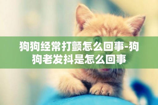 狗狗經常打顫怎么回事-狗狗老發抖是怎么回事