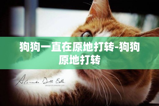 狗狗一直在原地打轉-狗狗原地打轉