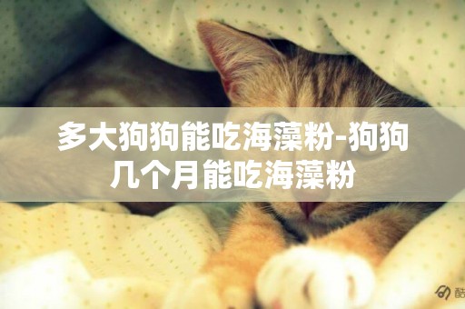 多大狗狗能吃海藻粉-狗狗幾個月能吃海藻粉