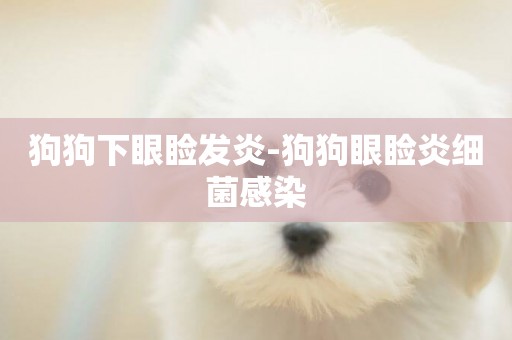 狗狗下眼瞼發炎-狗狗眼瞼炎細菌感染