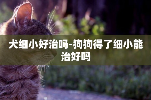 犬細小好治嗎-狗狗得了細小能治好嗎