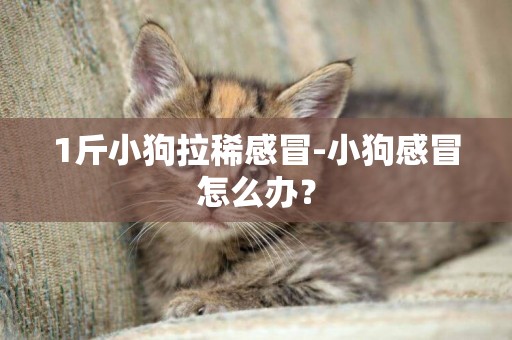 1斤小狗拉稀感冒-小狗感冒怎么辦？