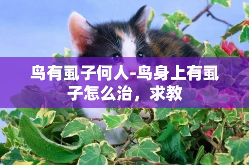 鳥有虱子何人-鳥身上有虱子怎么治，求教