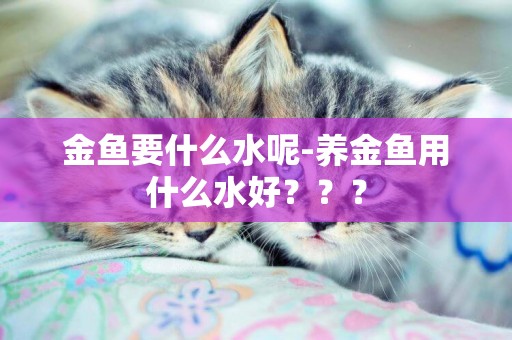 金魚要什么水呢-養金魚用什么水好？？？
