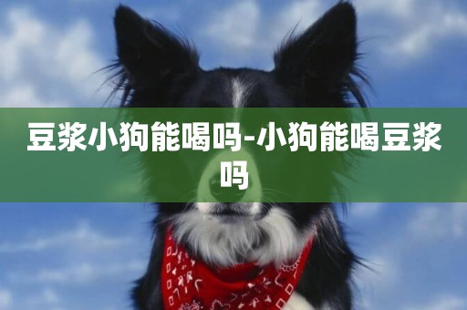 豆漿小狗能喝嗎-小狗能喝豆漿嗎