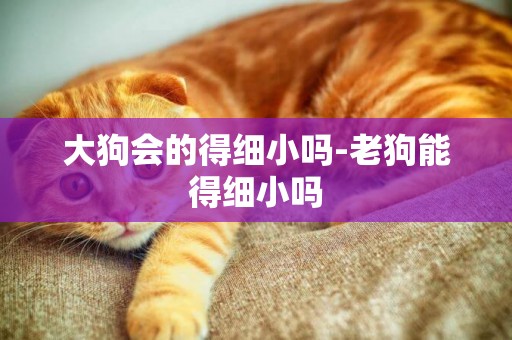 大狗會的得細小嗎-老狗能得細小嗎