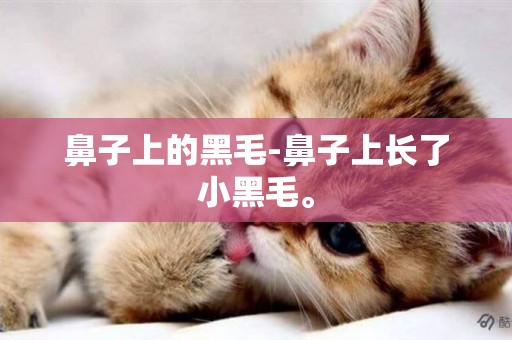 鼻子上的黑毛-鼻子上長了小黑毛。