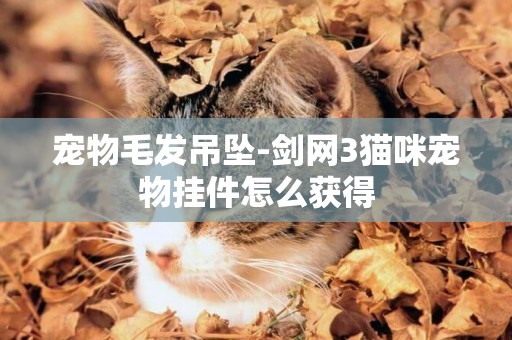 寵物毛發吊墜-劍網3貓咪寵物掛件怎么獲得