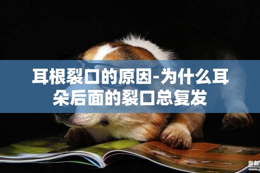 耳根裂口的原因-為什么耳朵后面的裂口總復發