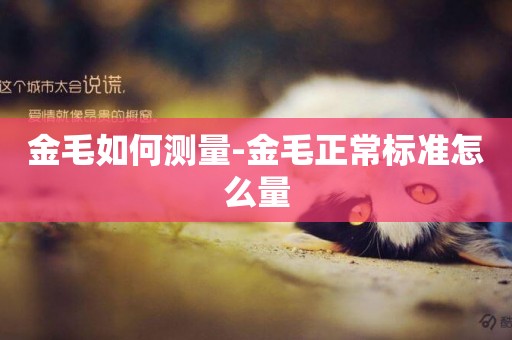 金毛如何測量-金毛正常標準怎么量