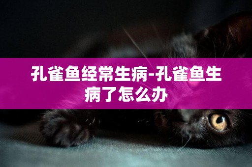 孔雀魚經常生病-孔雀魚生病了怎么辦