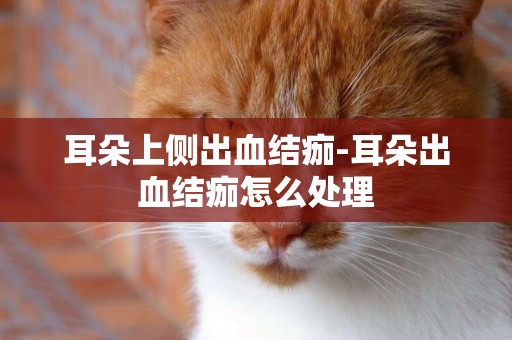 耳朵上側出血結痂-耳朵出血結痂怎么處理