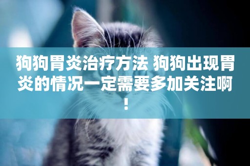 狗狗胃炎治療方法 狗狗出現胃炎的情況一定需要多加關注啊!