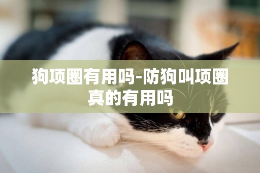 狗項圈有用嗎-防狗叫項圈真的有用嗎