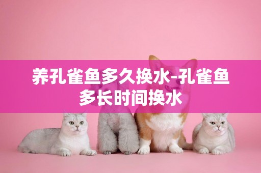 養孔雀魚多久換水-孔雀魚多長時間換水
