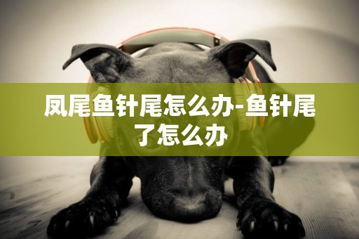 鳳尾魚針尾怎么辦-魚針尾了怎么辦