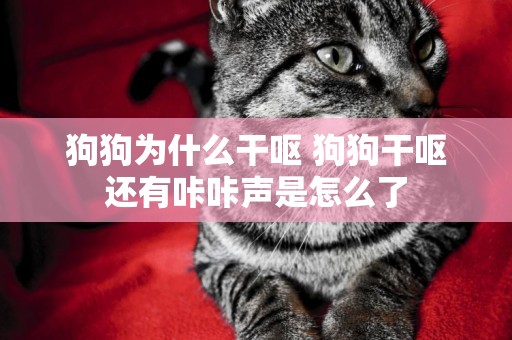 狗狗為什么干嘔 狗狗干嘔還有咔咔聲是怎么了