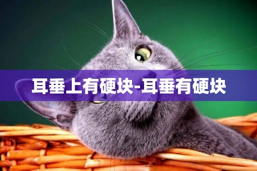 耳垂上有硬塊-耳垂有硬塊