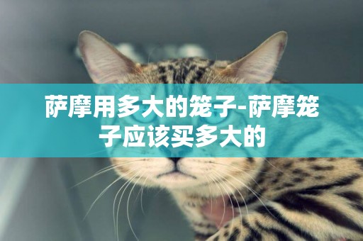 薩摩用多大的籠子-薩摩籠子應該買多大的