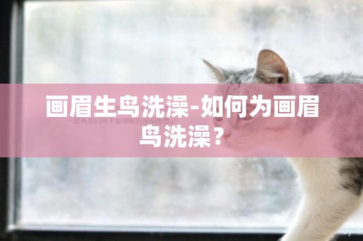 畫眉生鳥洗澡-如何為畫眉鳥洗澡？