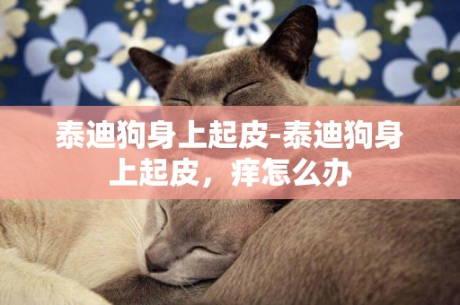 泰迪狗身上起皮-泰迪狗身上起皮，癢怎么辦