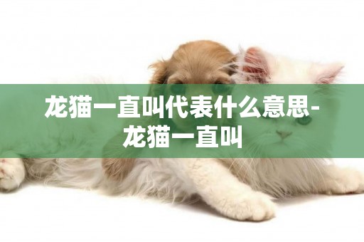 龍貓一直叫代表什么意思-龍貓一直叫