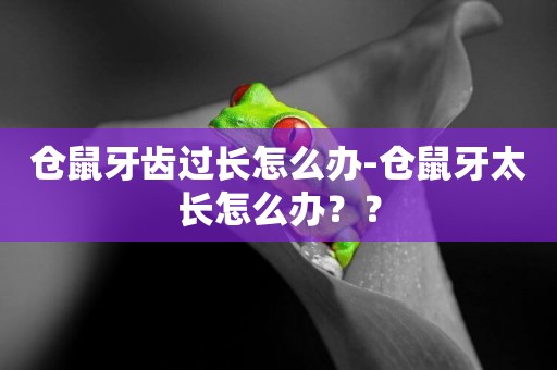 倉鼠牙齒過長怎么辦-倉鼠牙太長怎么辦？？