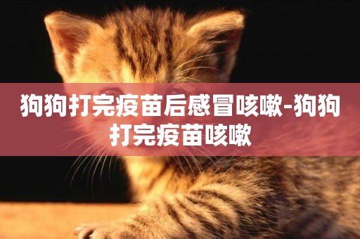 狗狗打完疫苗后感冒咳嗽-狗狗打完疫苗咳嗽
