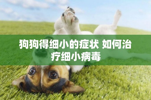 狗狗得細小的癥狀 如何治療細小病毒