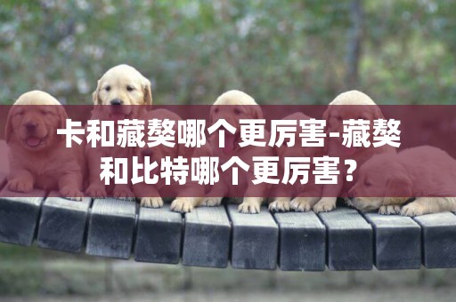 卡和藏獒哪個更厲害-藏獒和比特哪個更厲害？