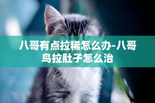 八哥有點拉稀怎么辦-八哥鳥拉肚子怎么治
