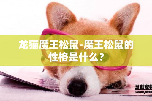 龍貓魔王松鼠-魔王松鼠的性格是什么？