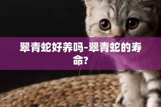 翠青蛇好養嗎-翠青蛇的壽命?
