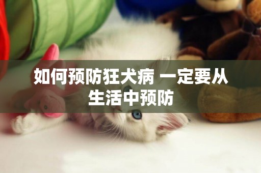 如何預防狂犬病 一定要從生活中預防