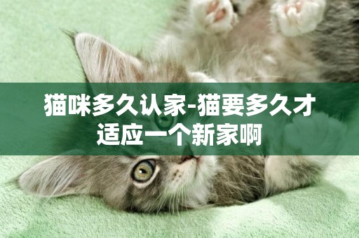 貓咪多久認家-貓要多久才適應一個新家啊
