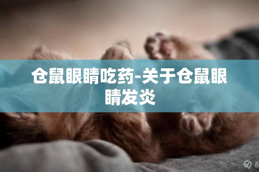 倉鼠眼睛吃藥-關于倉鼠眼睛發炎