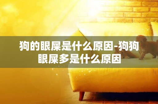狗的眼屎是什么原因-狗狗眼屎多是什么原因