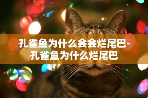 孔雀魚為什么會會爛尾巴-孔雀魚為什么爛尾巴