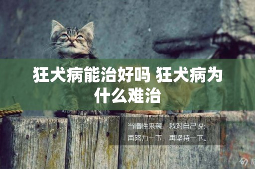 狂犬病能治好嗎 狂犬病為什么難治