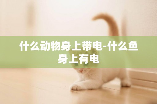 什么動物身上帶電-什么魚身上有電