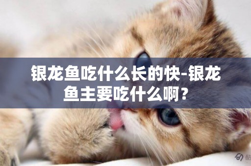 銀龍魚吃什么長的快-銀龍魚主要吃什么啊？