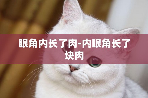 眼角內長了肉-內眼角長了塊肉
