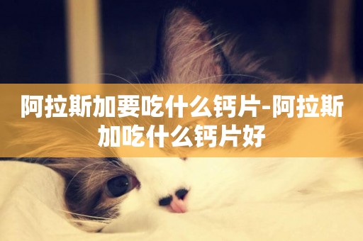 阿拉斯加要吃什么鈣片-阿拉斯加吃什么鈣片好