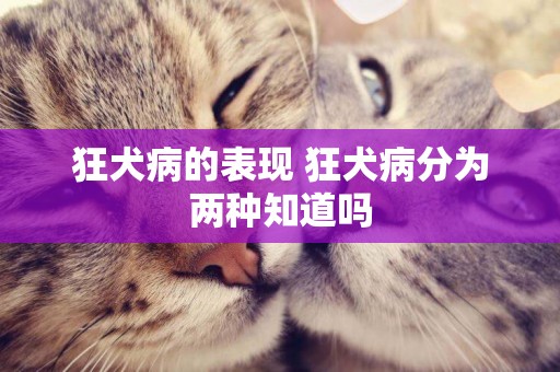 狂犬病的表現 狂犬病分為兩種知道嗎