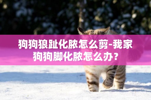 狗狗狼趾化膿怎么剪-我家狗狗腳化膿怎么辦？
