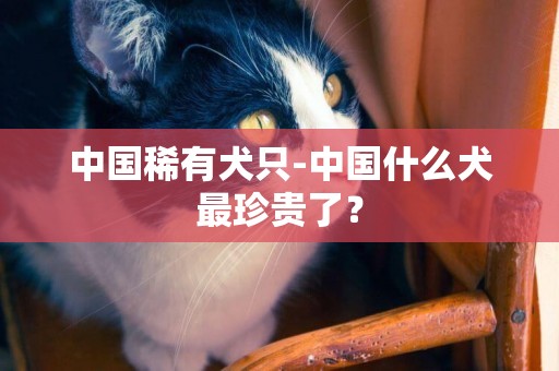 中國稀有犬只-中國什么犬最珍貴了？