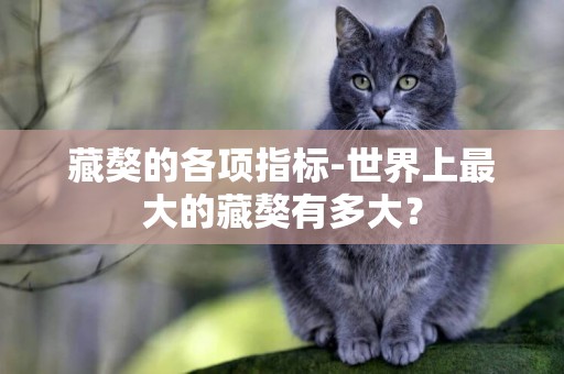 藏獒的各項指標-世界上最大的藏獒有多大？