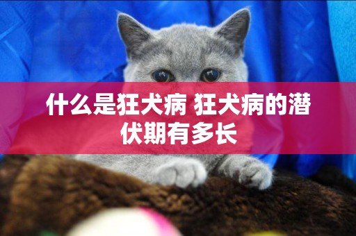 什么是狂犬病 狂犬病的潛伏期有多長 什么是狂犬病 狂犬病的潛伏期有多長