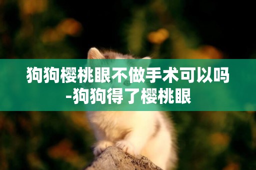 狗狗櫻桃眼不做手術可以嗎-狗狗得了櫻桃眼